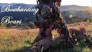 Recurve Bowhunting Boars [upl. by Huskamp854]