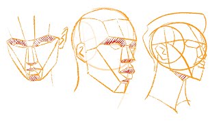 Planes of the Head The Asaro Head method Timelapse [upl. by Lebar549]