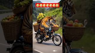 Tiger 🐅 pro driving 🤣🤪 trending funny cute view youtubeshorts entertainment shorts crush [upl. by Hefter]