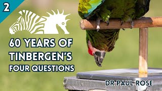 BIAZA Brings YouDr Paul Rose  The Continued Relevance of Tinbergens Four Questions to Zoos [upl. by Amada903]