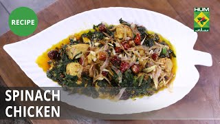 Spinach Chicken Recipe  Lively Weekends  Continental Food [upl. by Alyag]