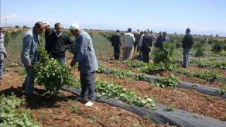 formation de goutte a goutte maroc [upl. by Odraude]