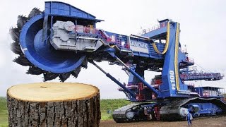 Dangerous Biggest Chainsaw Tree Felling Logging Wood Truck Heavy Equipment Excavator Stump Removal [upl. by Nea]