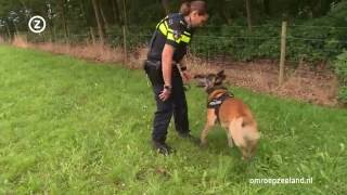 Een politiehond is een wapen [upl. by Janice554]