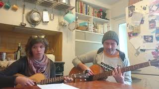 The Detectorists by Johnny Flynn Cover Baritone ukulele and acoustic bass [upl. by Aicek]