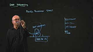 Pacific Biosciences Sequencing [upl. by Denis]