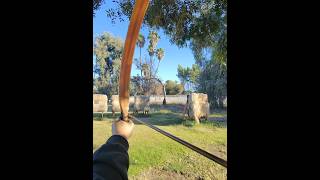 Shooting my traditional recurve salukibow 51lbs 28in for the first time traditionalarchery [upl. by Brebner]