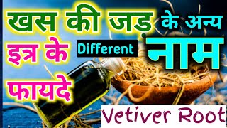 khas ki jad kaise hoti hai  Vetiver different names  khas ki jad kahan milegi vetiver khasroot [upl. by Duer]