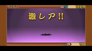 Battle cats JP 12 anniversity opening [upl. by Sredna]