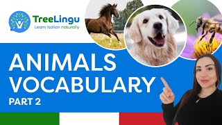 Italian animal vocabulary pt2  Impara con Treelingu 🇮🇹  Learn Italian naturally [upl. by Aniratak365]