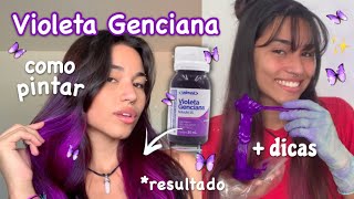 Como pintar o Cabelo de roxo com Violeta genciana 💜✨ [upl. by Oralee]