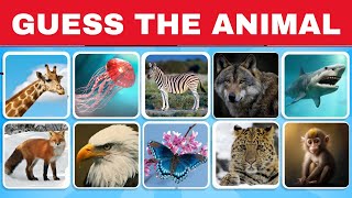 Guess the Animal  Fun Guessing Game  Quiz [upl. by Eetnom]