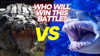 Crocodile vs Shark  The Epic Battle of the Apex Predators [upl. by Frieder737]