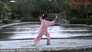 Yang Style 85 Form Tai Chi Quan 楊氏85式太極拳  Fanny Ng  音樂版 [upl. by Leunammi]