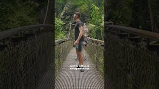 Explore Purling Brook Falls With Us GoldCoast Waterfall Hike Shorts [upl. by Suravart]