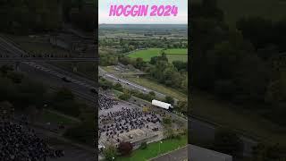 Hoggin 2024 [upl. by Aisor]