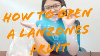 How to Open and Eat LANZONES Fruit Langsat or Longkong [upl. by Riggins]