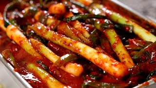 Green onion kimchi Pakimchi 파김치 [upl. by Hyacinthia]