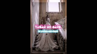 Tabah Ho Gaye Slowed Reverb Song song slowedandreverb slowed fypage fypyoutube speedupsongs [upl. by Kirwin]