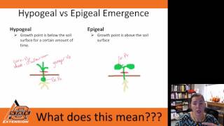 Introductory Plant Science Agronomy  Video 1 [upl. by Camroc]