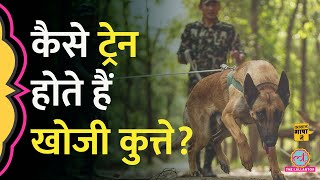 German Shepherd Labrador और Belgian Malinois ही क्यों होते हैं खोजी कुत्ते Aasan Bhasha Mein [upl. by Ennyl758]