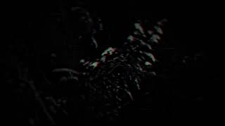 Lykantropia  Hungarian Lycanthropy Music Video 2023 Black Metal [upl. by Wolfort]