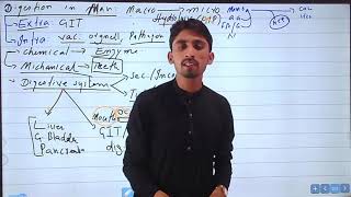 Digestion lec1 Intro types mouth and oral cavity [upl. by Rakso]