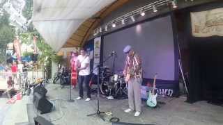 Ron Glaser  RocknRoll  im Kurpark Bad Sauerbrunn 2014 [upl. by Barrada]