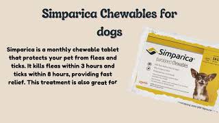 Simparica or Revolution Which Is the Better Choice for Your Furry Friend [upl. by Song845]