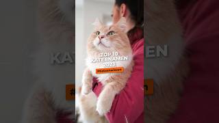 Top 10 männliche Katzennamen shorts katze katzenwissen haustiere katzenleben katzenliebe [upl. by Enyaj]