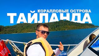 Кораллы в ТАЙЛАНДЕ 2020 Острова Ко Рок и Ко Ха ЦЕНЫ снорклинг Андаманское море БЕЛЫЙ песок [upl. by Aitel]