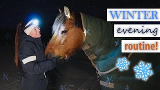 My Real Winter Evening Routine With Horses At Home [upl. by Tybald]