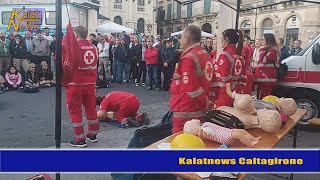 Caltagirone Festival del volontariato  I volontari sono una risorsa e non vanno trascurati [upl. by Cerelia]