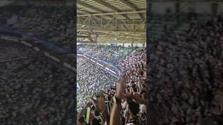 TORCIDA DO BOTAFOGO COMEMORANDO NO ALLIANZ PARQUE E MANCHA INDO EMBORA [upl. by Niltac]