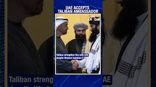 Taliban Envoy Badruddin Haqqani Accepted By UAE As Ambassador Amidst Global Divide [upl. by Ennavoj]