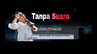 Lobo usah ditangisi karaoke [upl. by Grady]