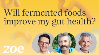 Will fermented foods improve my gut health  Sandor Katz and Professor Tim Spector [upl. by Annirtak]