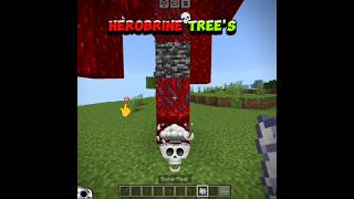 Minecraft Herobrine Trees 💀🔥minecraft [upl. by Anuat825]