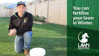 Can you fertilise your lawn in Winter [upl. by Ailido]