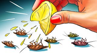 12 Natural Ways to Get Rid of Cockroaches Permanently [upl. by Waiter]