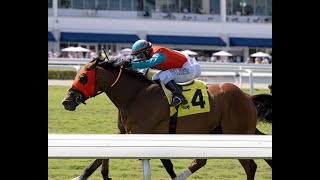 Gulfstream Park Resumen  21 de Marzo 2024 [upl. by Shakti]