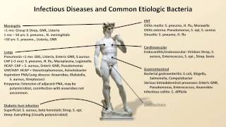 Bacterial Etiologies of Common Infections Antibiotics  Lecture 2 [upl. by Hollander]