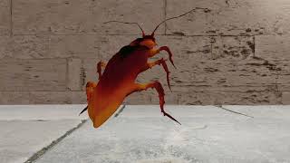 Dancing cockroach meme but i tried to make it in blender [upl. by Eentroc531]