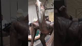 Pteranodon test at Stan Winston Studio for Jurassic Park III [upl. by Jalbert]