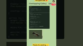 Overlapping gallery by css coding viralvideo css html javascript [upl. by Holsworth755]