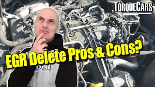 EGR Delete Pros amp Cons of EGR Off or On Benefits and Drawbacks With amp Without EGR [upl. by Dikmen]