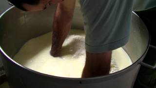 FROMAGE DE BREBIS Fabrication  Le Métier de Berger  Béarn  Pyrénées Atlantiques  Tv Izard [upl. by Hedelman]