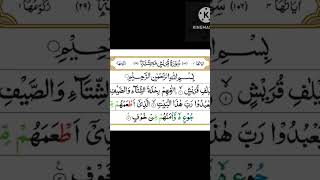 Surah Al quraish islamicvideo quran tilawat shortsvideo AmirHussain096 [upl. by Loferski]