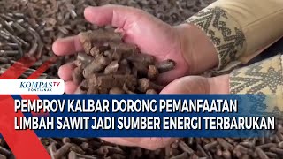 Pemprov Kalbar Dorong Pemanfaatan Limbah Sawit Jadi Sumber Energi Terbarukan [upl. by Sung]