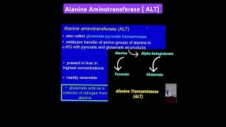 Alanine Transaminase ALT Metabolism Made Easy [upl. by Nereen788]